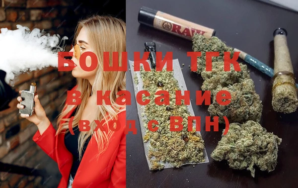 гашик Вяземский