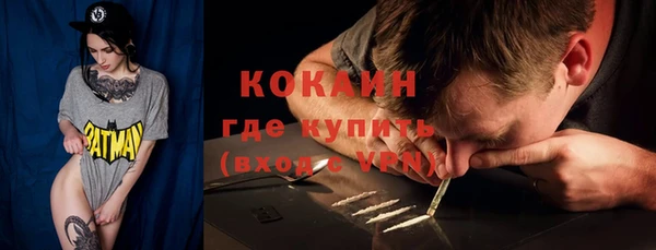 гашик Вяземский