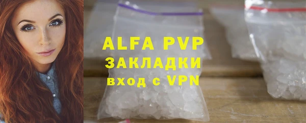 гашик Вяземский