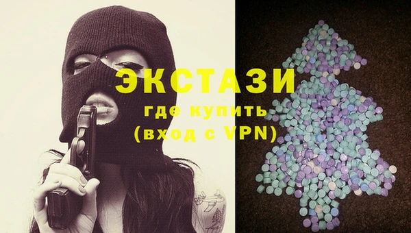 гашик Вяземский