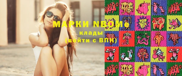 гашик Вяземский