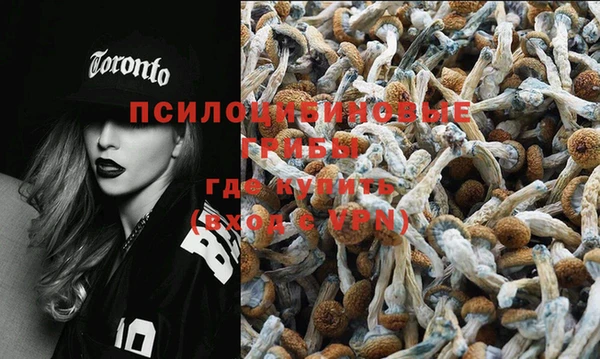 синтетический гашиш Вязьма
