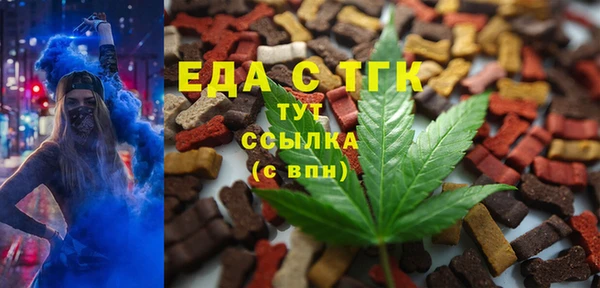 гашик Вяземский