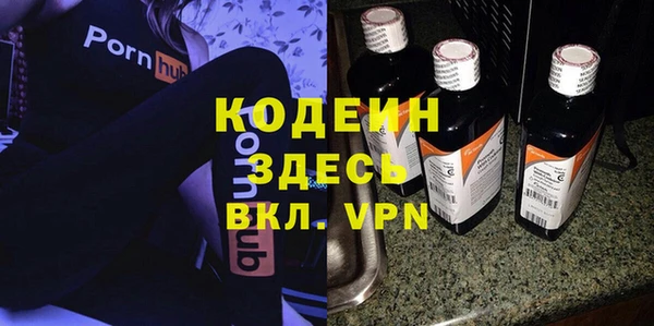 гашик Вяземский