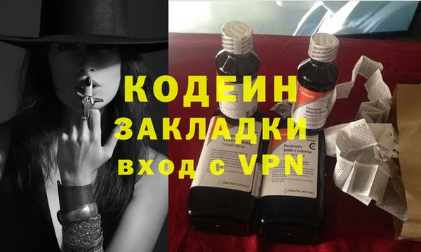 гашик Вяземский