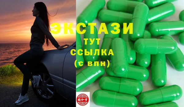 гашик Вяземский