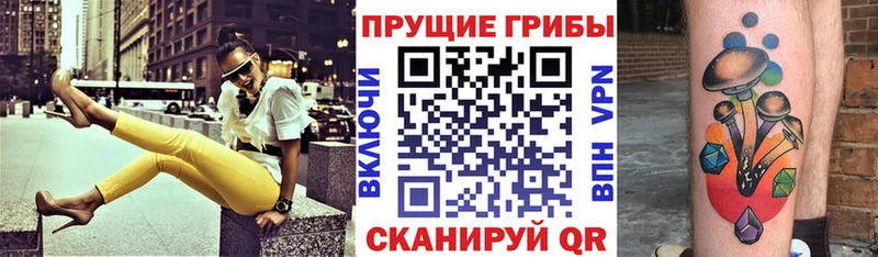 Купить закладки  Светлогорск  Галлюциногенные грибы GOLDEN TEACHER 